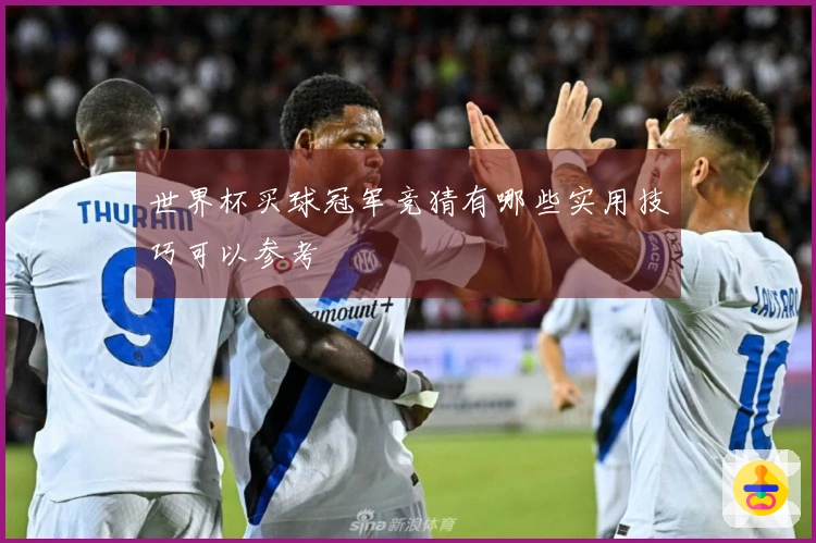 世界杯买球冠军竞猜有哪些实用技巧可以参考