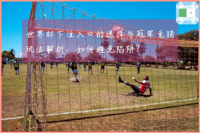 世界杯下注入口的选择与冠军竞猜玩法解析,如何避免陷阱?