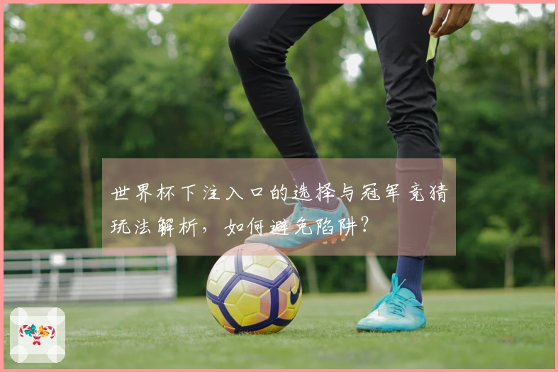 世界杯下注入口的选择与冠军竞猜玩法解析，如何避免陷阱？