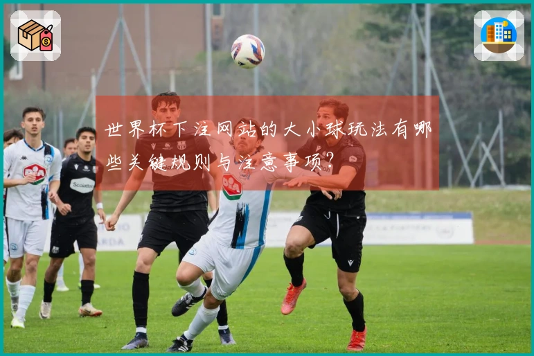 世界杯下注网站的大小球玩法有哪些关键规则与注意事项？