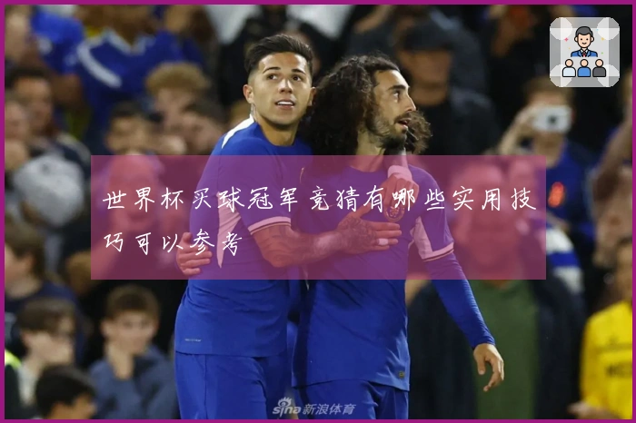 世界杯买球冠军竞猜有哪些实用技巧可以参考