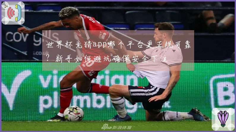 世界杯竞猜app哪个平台更正规可靠?新手如何避坑确保安全下注